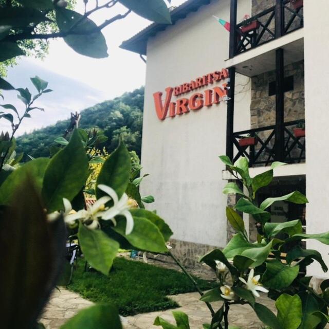 Family Hotel Virgin Ribaritsa Dış mekan fotoğraf