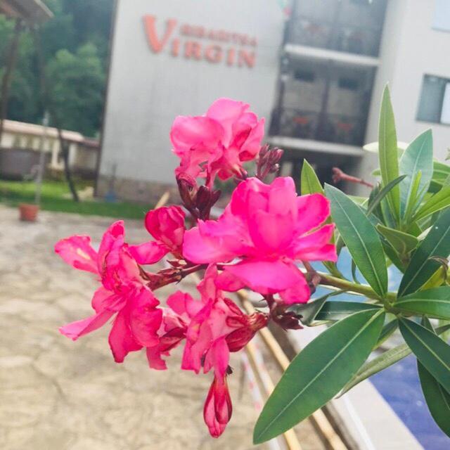Family Hotel Virgin Ribaritsa Dış mekan fotoğraf