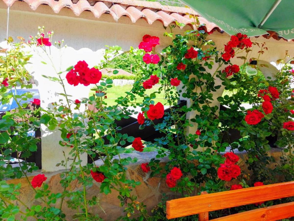 Family Hotel Virgin Ribaritsa Dış mekan fotoğraf