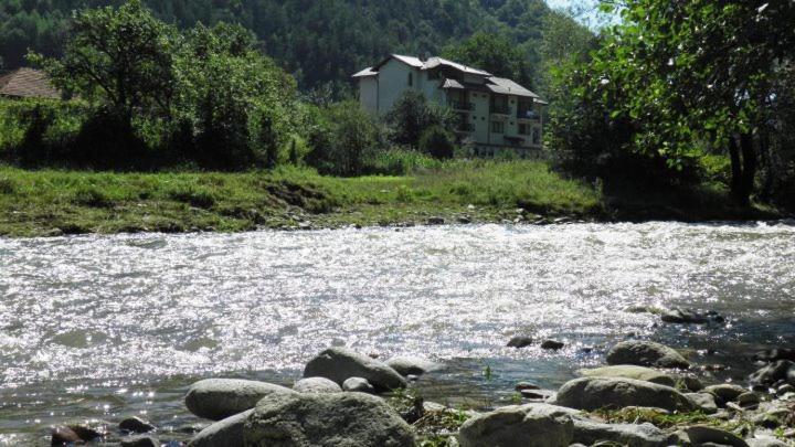 Family Hotel Virgin Ribaritsa Dış mekan fotoğraf